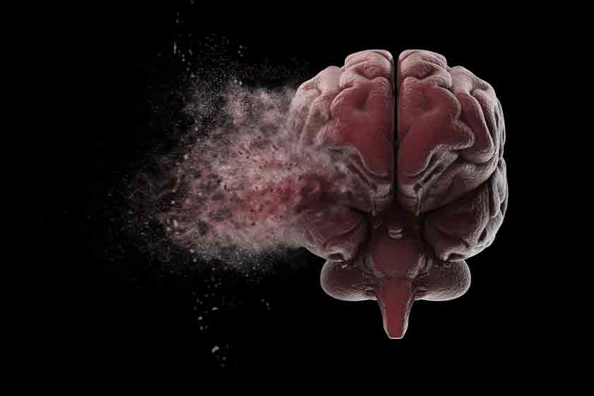 How Drugs Impact the Brain