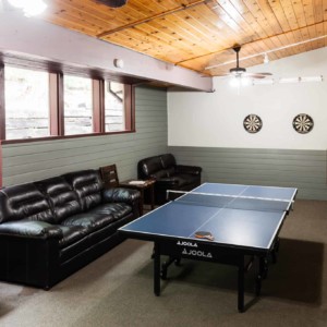 Ping Pong and Darts