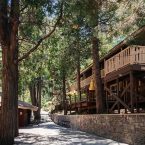 Outdoor Path