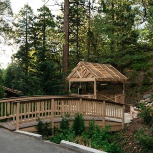 Outdoor Pavilion with Punching Bag