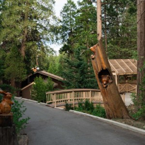Outdoor Path